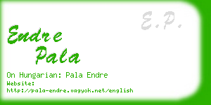 endre pala business card